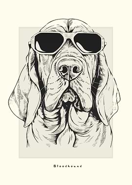 Bloodhound Illustration