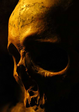 PAris Catacombe skull