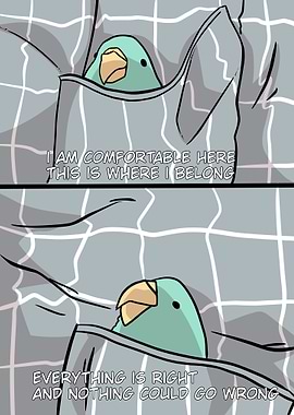 wholesome bird