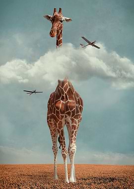 Head Above the Clouds I