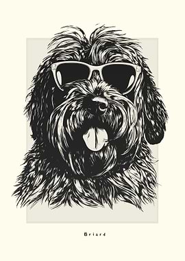Briard Illustration