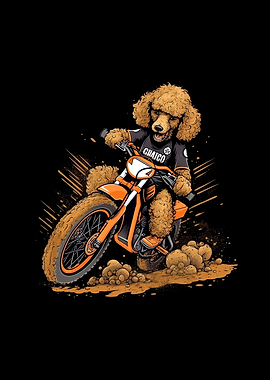 Dirt Bike Poodle Biker