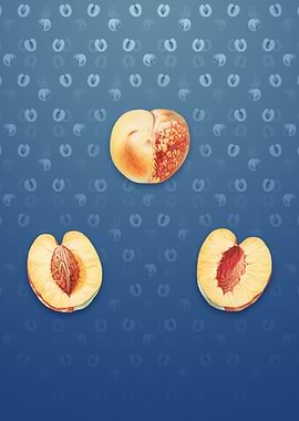 Nectarine on Bahama Blue