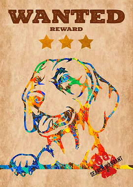 Hungarian Vizsla Dog