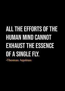 Thomas Aquinas Quote