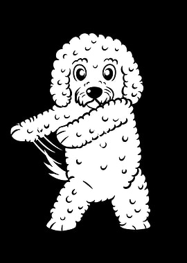 Bichon Frise Flossing