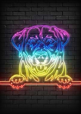 Labrador Dog Portrait