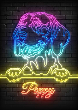 Hungarian Vizsla Dog