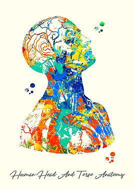 Human Head And Torso