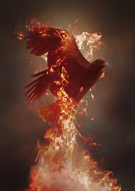 The Fire Bird