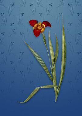 Vintage Tiger Flower