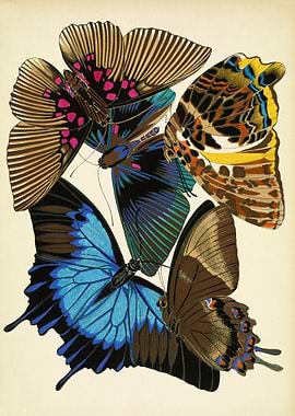 Vintage butterflies