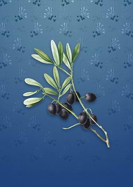 Olive Tree on Bahama Blue