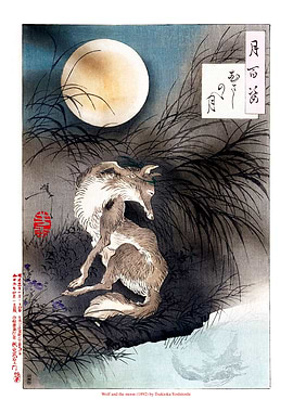 The wolf and the moon