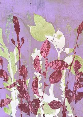 Meadow botanic floral drea