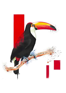Toucan Artistic Paint
