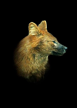 Asian wild dog