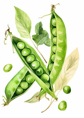 Green Beans