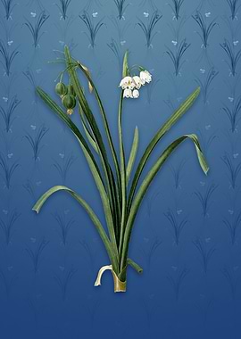 Vintage Summer Snowflake