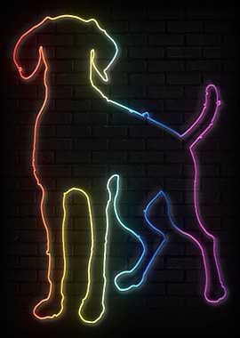 Hungarian Vizsla Dog