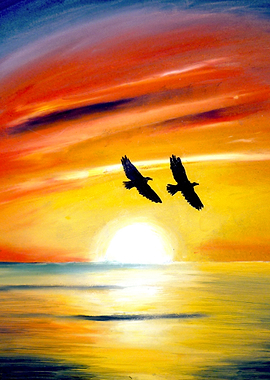 Flying in the Sunset