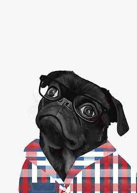 Black Pug With Glasses