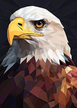 Vector Bald Eagle