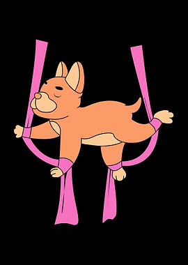 Dog Doing Aerial Yoga