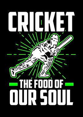 Cricket is for our soul