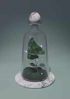 Fairies in my terrarium