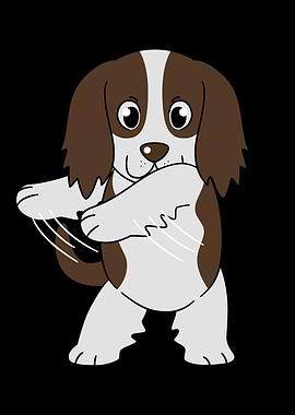 English Springer Flossing