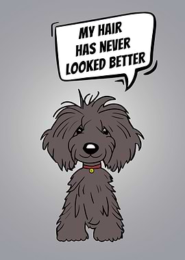 Groomer Customer Says 1