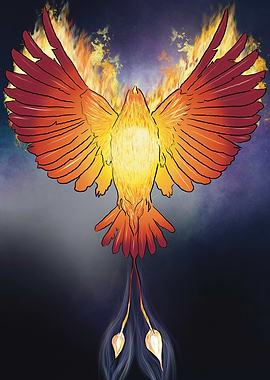 Phoenix