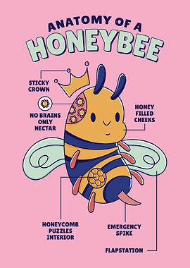 Bee Anatomy