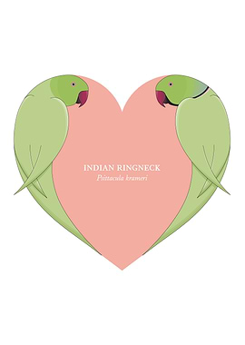 indian ringneck