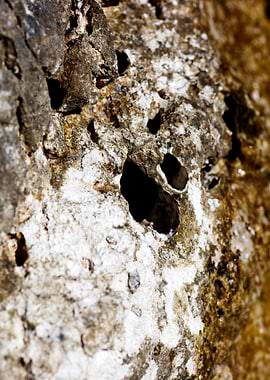 Sea summer rocks close up