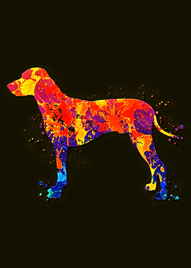 Rhodesian Ridgeback Dog