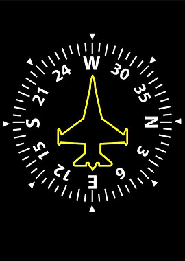 pilot compass