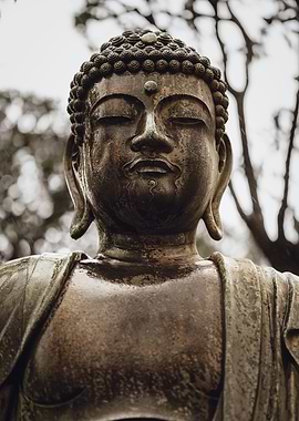 buddha statue