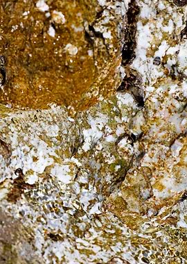 Sea summer rocks close up