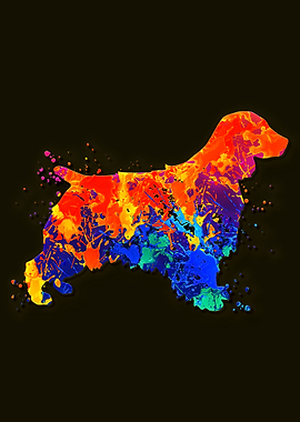 Welsh Springer Spaniel Dog