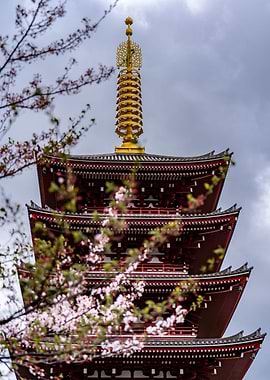asakusa shrine