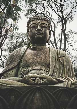 buddha statue