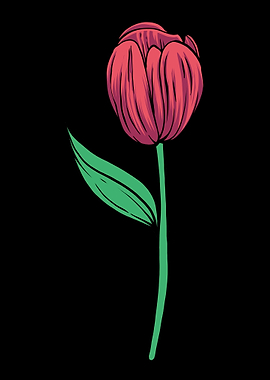 Tulip Gardening Flower