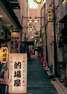 Path to Akihabara