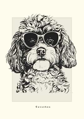 Cavachon Illustration