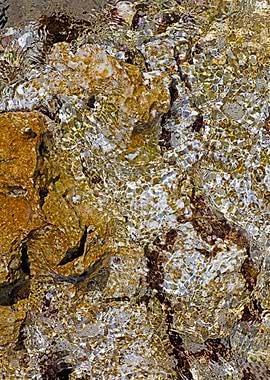 Sea summer rocks close up