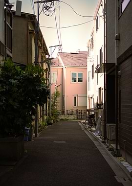 Midday Alleyway Sunshine