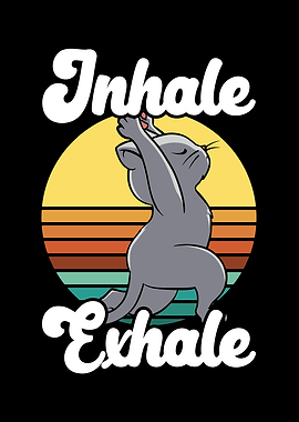 Yoga Meditation Fitness