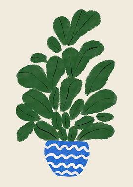 Ficus Elastica Plant